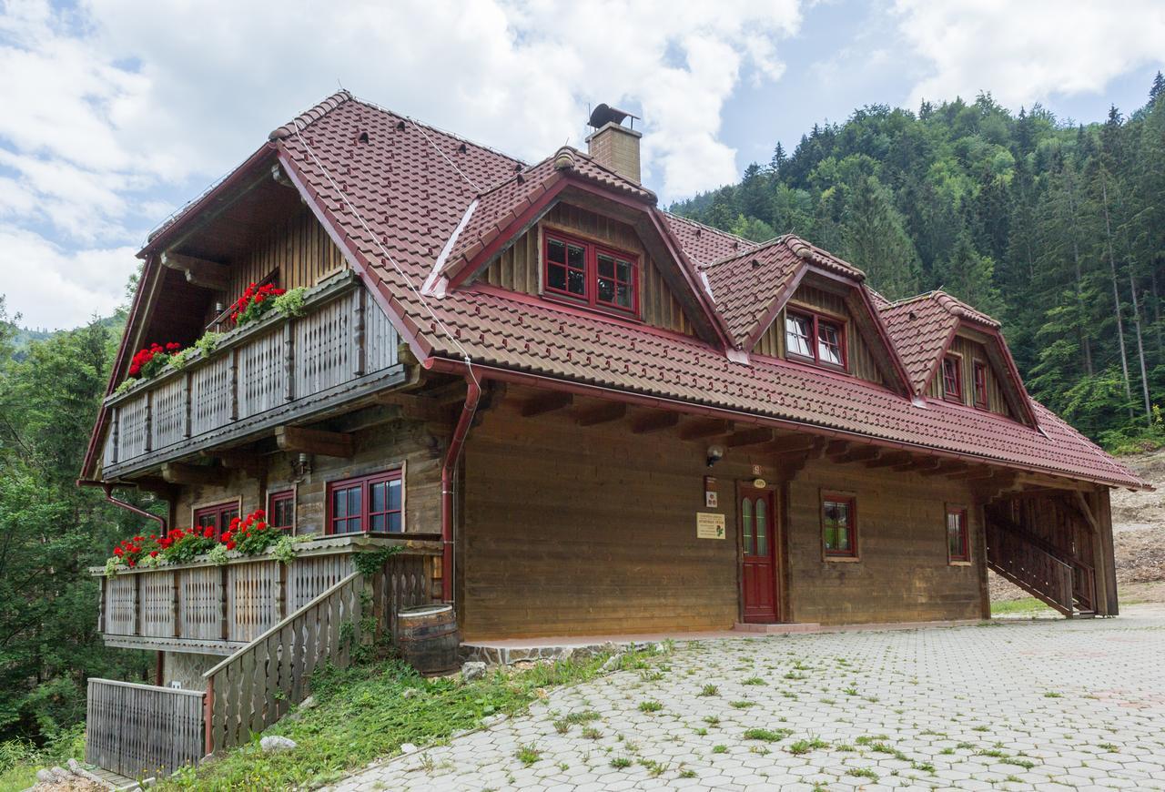 Apartments Petek Gornji Grad Exterior foto