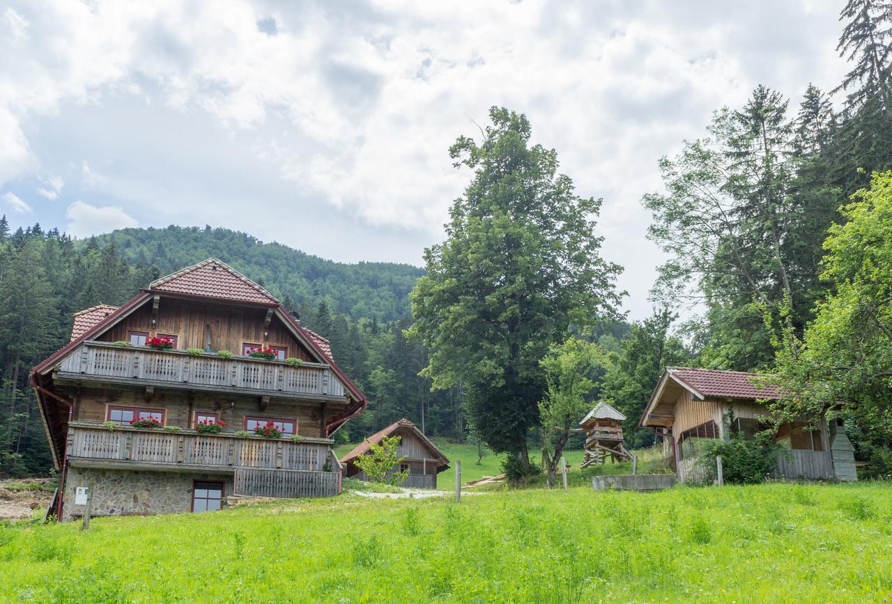 Apartments Petek Gornji Grad Exterior foto