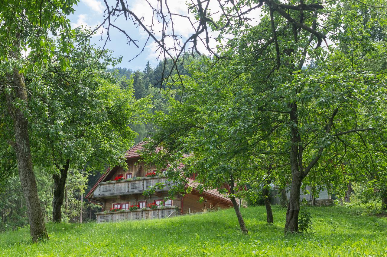 Apartments Petek Gornji Grad Exterior foto